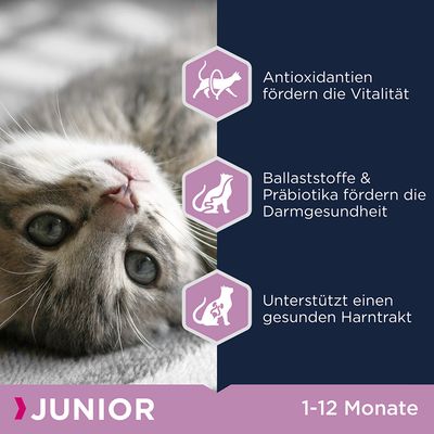 Eukanuba Healthy Start Kitten