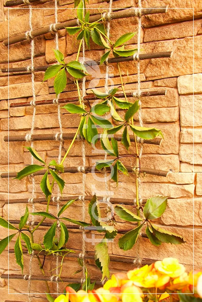 Pemicont Floranica Rankhilfe Rankgitter für Kletterpflanzen Länge 200cm Breite 50cm Naturweide Ökologische Schnur und Jutesack Stütze für Rosen Kletterpflanzen Gemüse Reben