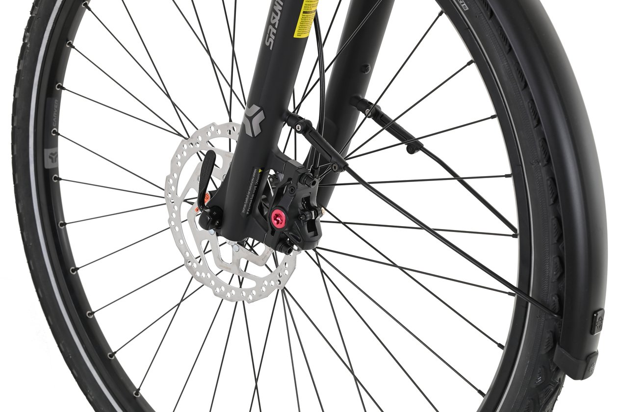 Carver Cityzen E LTD CX FL - 400 Wh - 2024 - 28 Zoll - Tiefeinsteiger