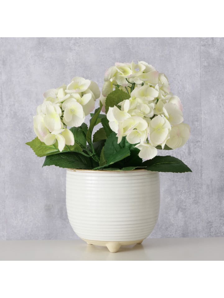 Boltze Blumentopf in weiß günstig kaufen onesize