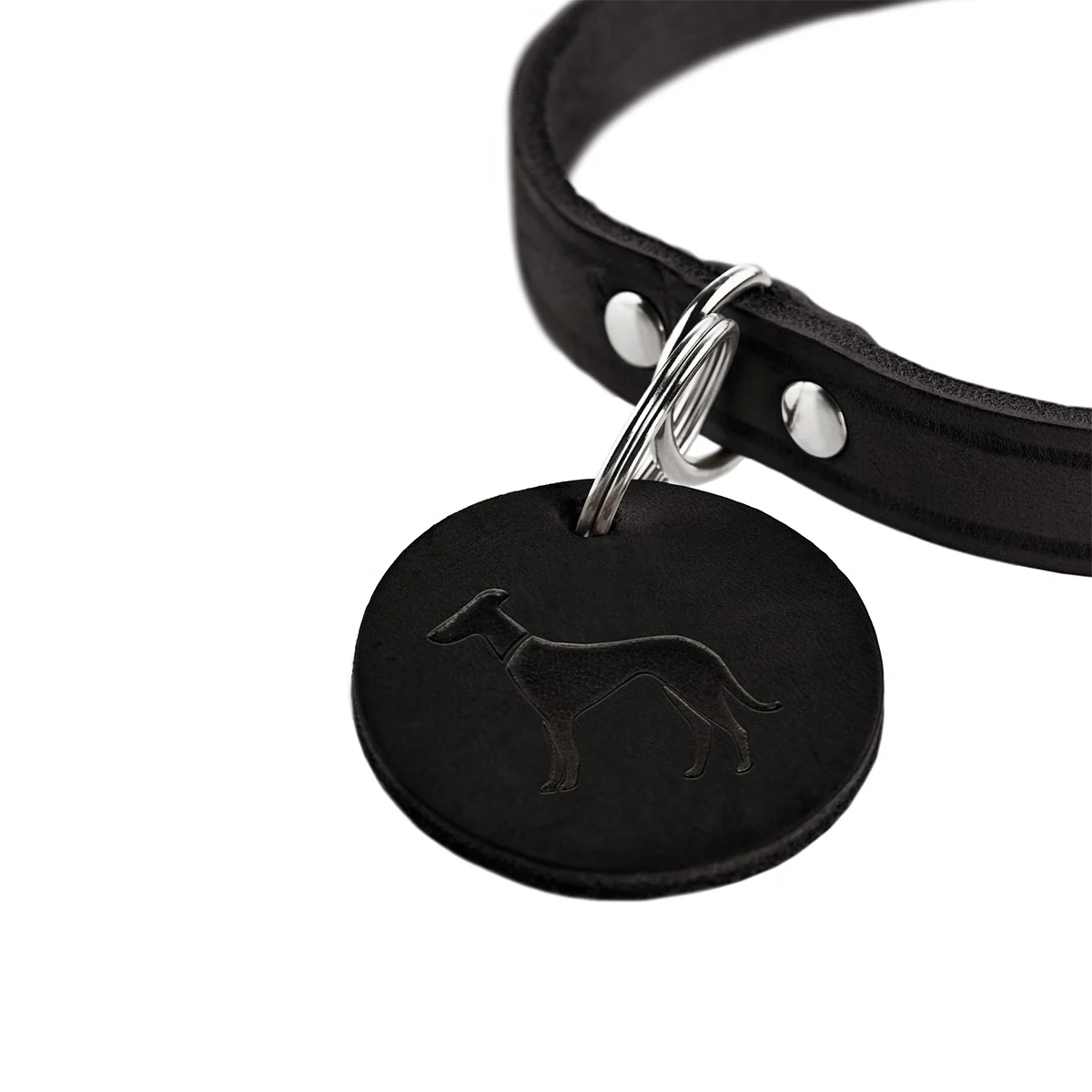 Hunter Halsband Aalborg schwarz günstig kaufen bei ZooRoyal