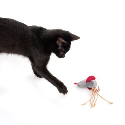 zoolove Katzenspielzeug Filzvogel