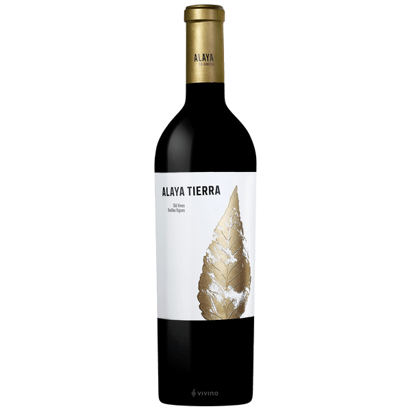 AtalayaAlaya Tierra 2021