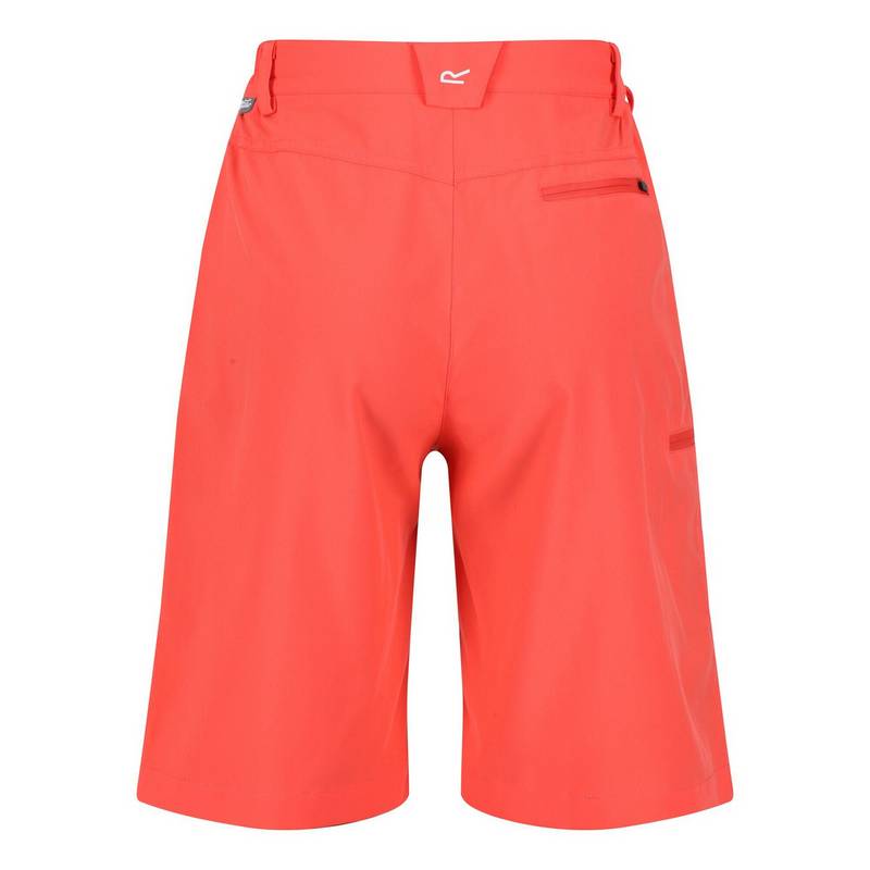Regatta Xert It Shorts Damen