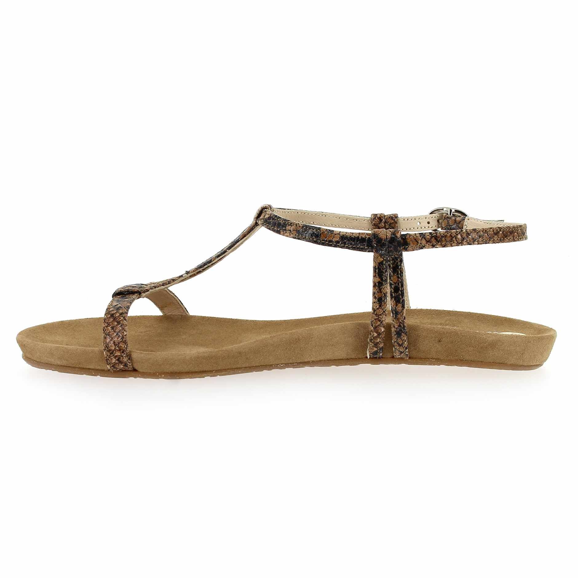 Janie Philip  HAWAI - Camel Python