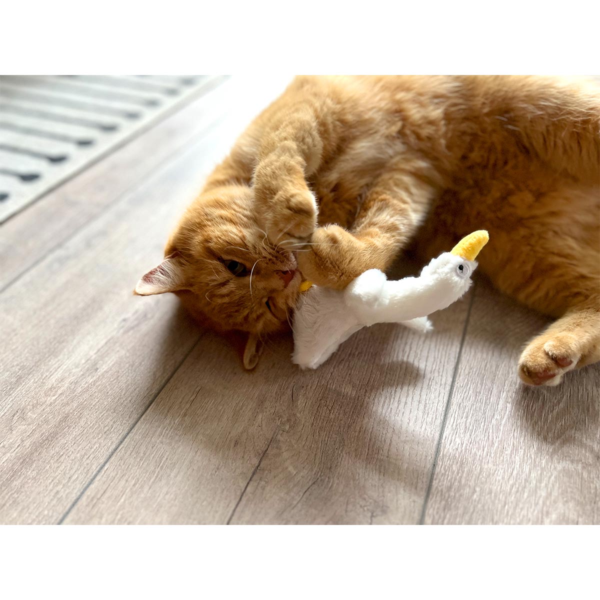 Aumüller Katzenspielkissen Gilbert Gans kaufen