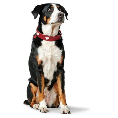 HUNTER Halsband Love, rot