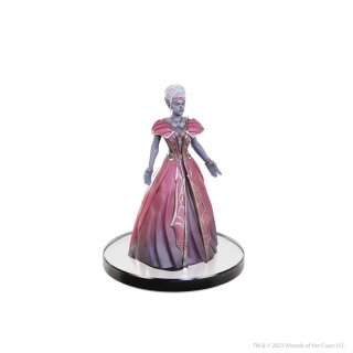 D&D The Legend of Drizzt 35th Anniversary Miniaturen - Family & Foes Boxed Set (Prepainted)