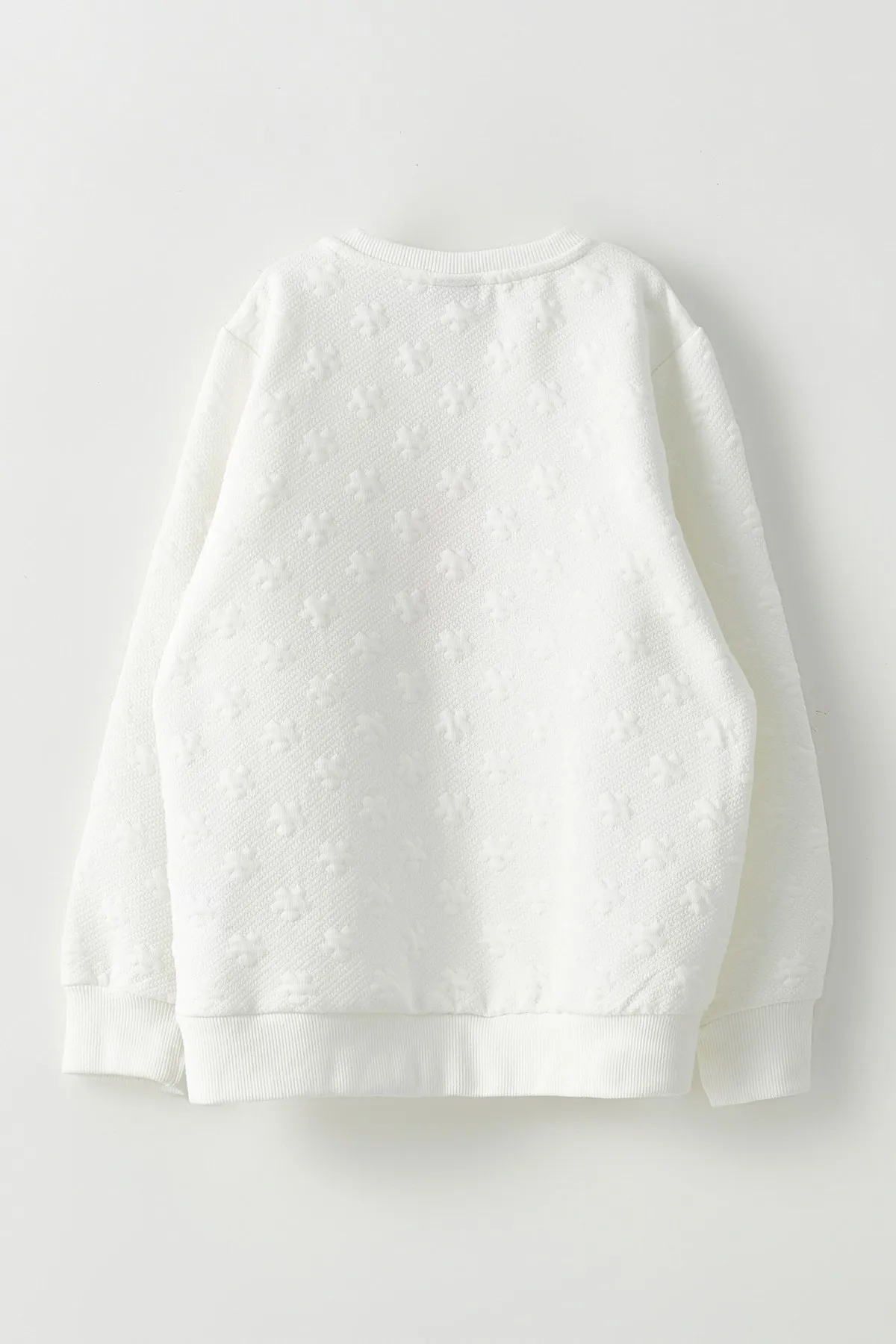 LC Waikiki  Sweatshirt - Lila - Regular Fit