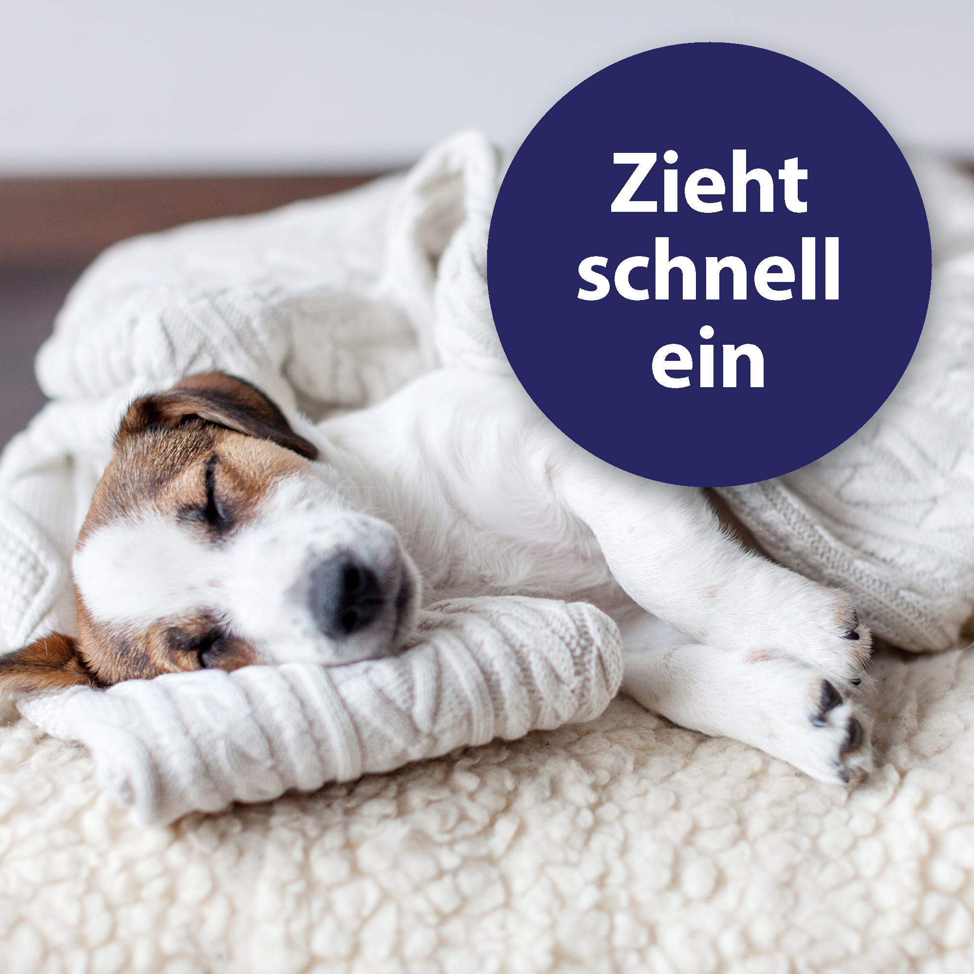 Canosept Pfotenpflege Canosept Pfotenpflege für Hunde 75 g