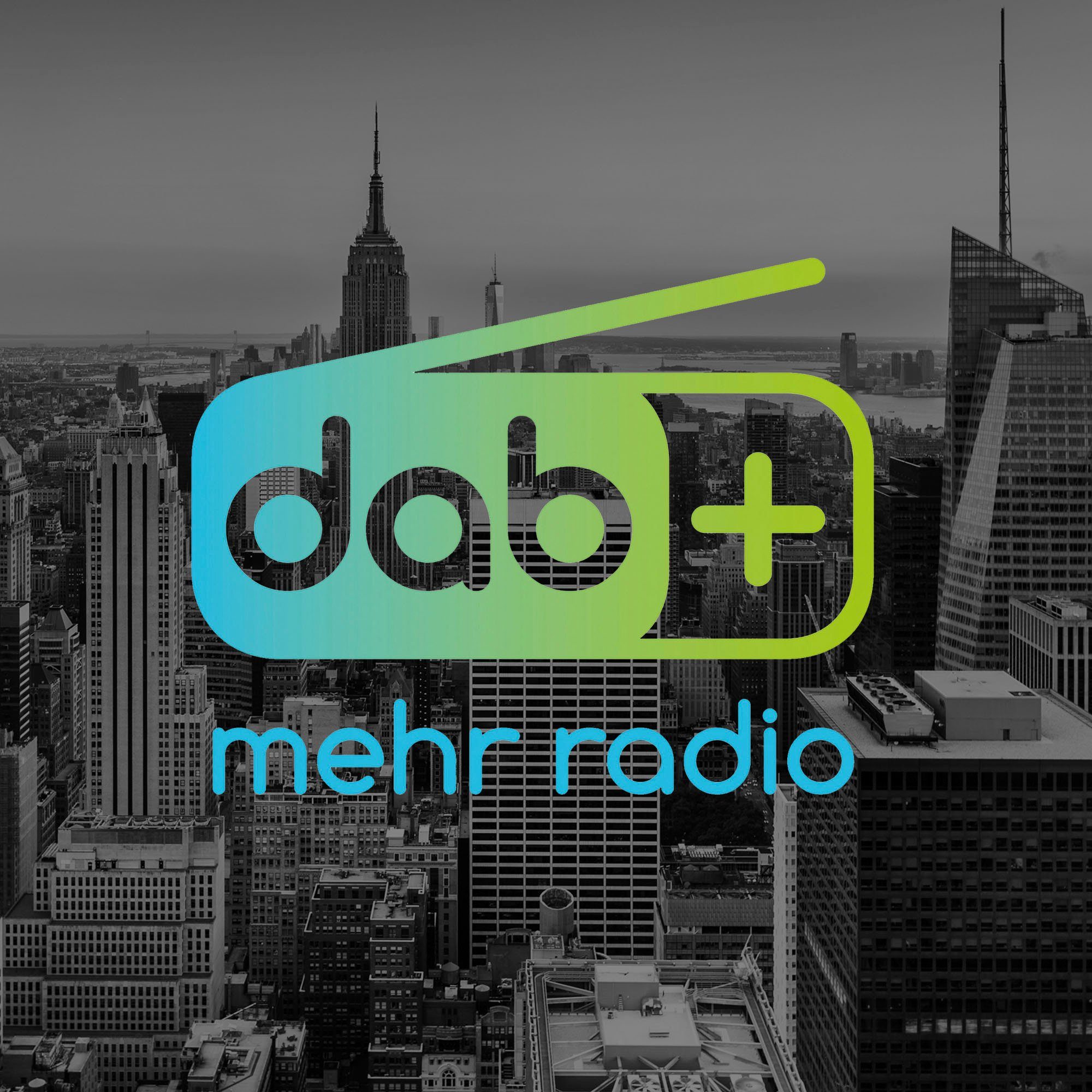 Karcher DAB Go Bluetooth Lautsprecher Digitalradio (DAB) (Digitalradio (DAB), UKW mit RDS, 5 W)