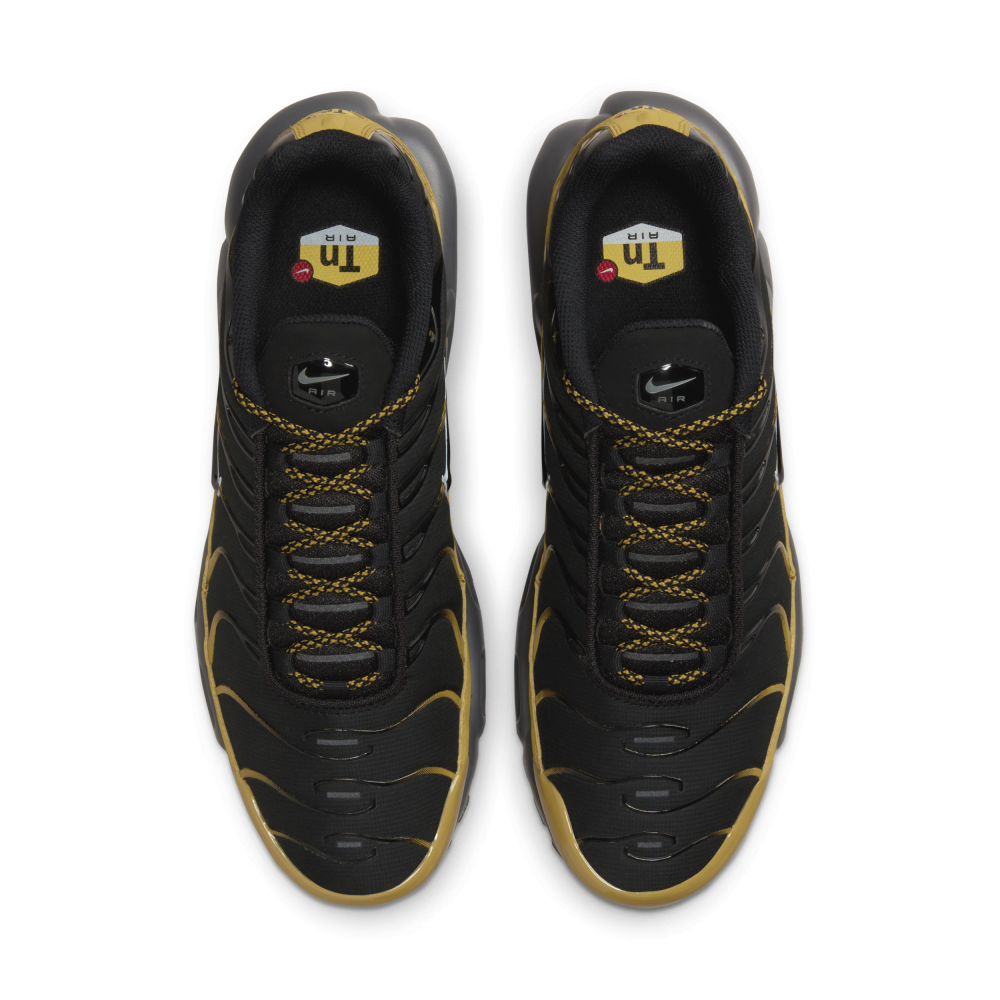 Nike Air Max Plus FB9722-700 / braun