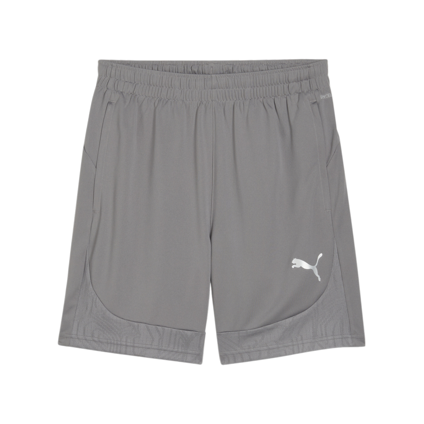 PUMA teamFINAL Trainingsshorts Grau F13