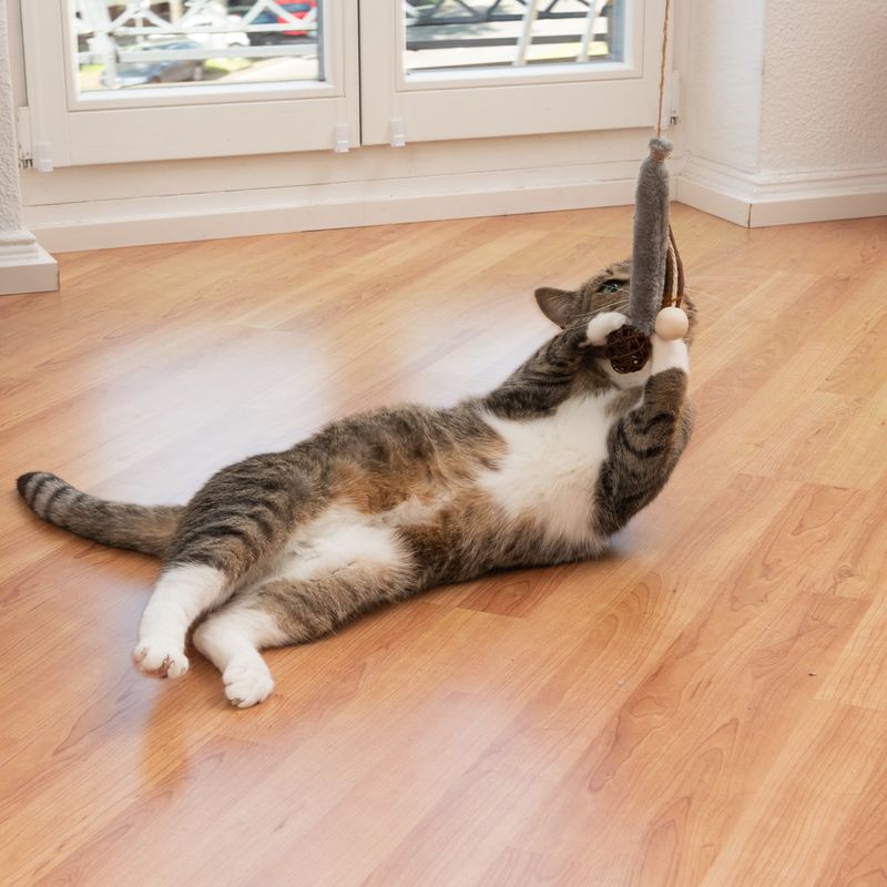 TIAKI Katzenangel Plüsch & Feder zu TOP-Preisen