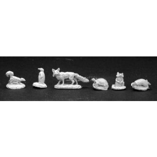 Familiar Pack V (6 Stk.) (REA02848)
