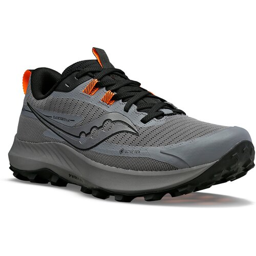 HERREN LAUFSCHUHE PEREGRINE 13 GTX