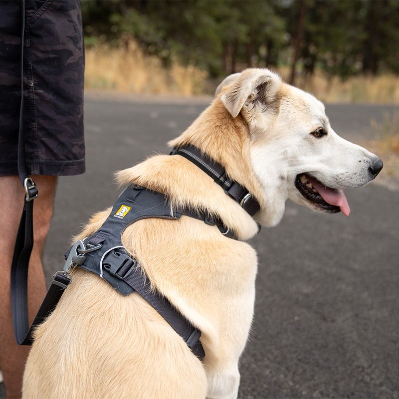 Ruffwear Front Range Hundegeschirr, Basalt Gray