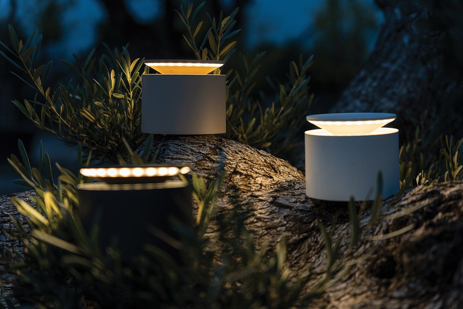 Zafferano LED Tischleuchte Push Up Pro, LED fest integriert, Gemütlich Warmweiß, Warmweiß, Neutralweiß, Druck- und Touchsteuerung