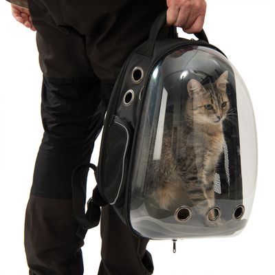 Rucksack View
