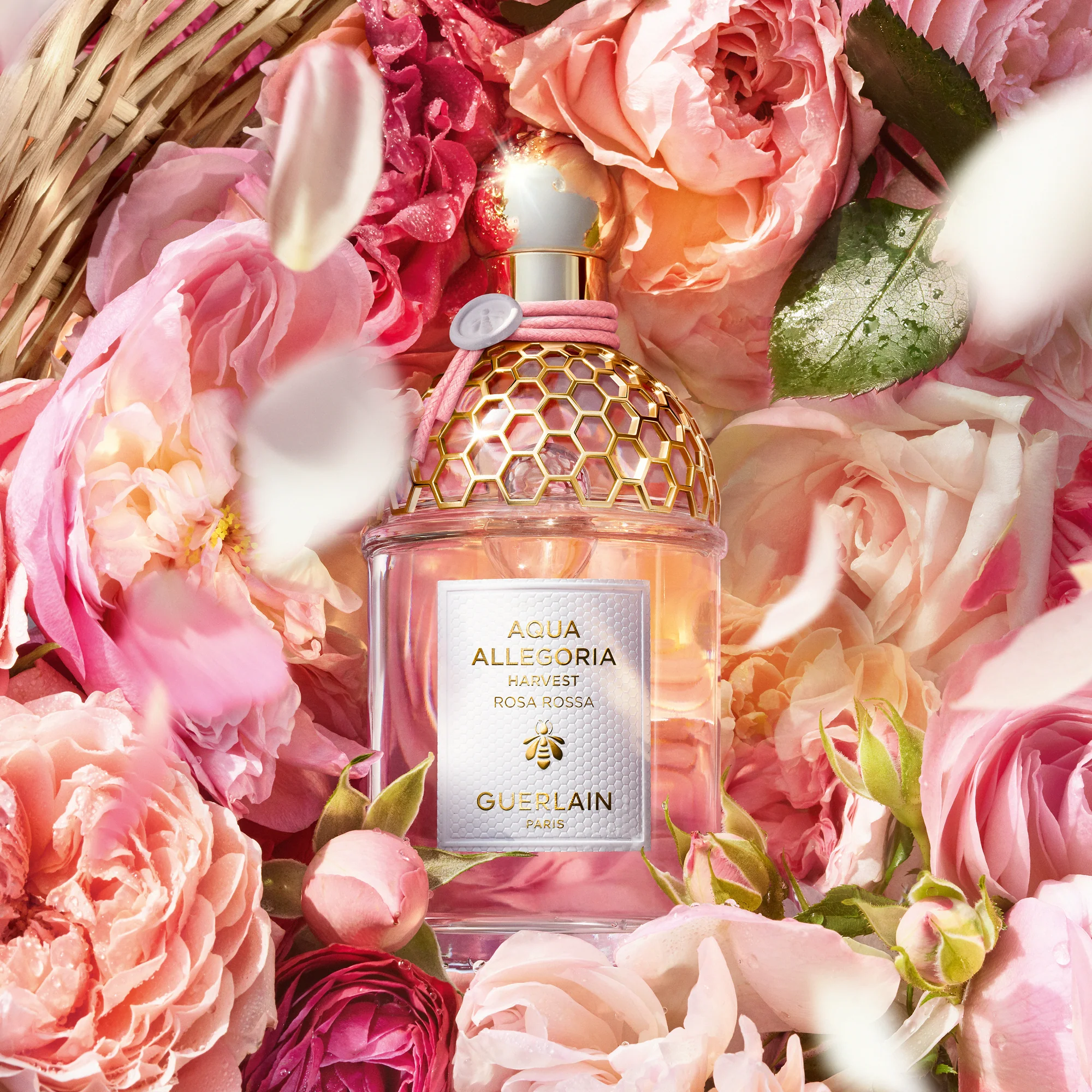 Aqua Allegoria Rosa Rossa Harvest – toaletná voda