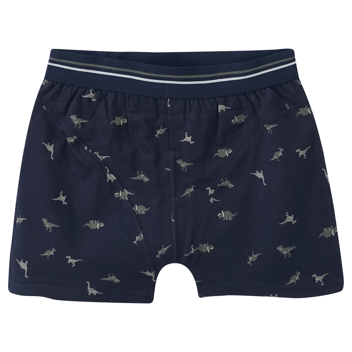 3 Jungen Boxer mit Dinosaurier-Allover