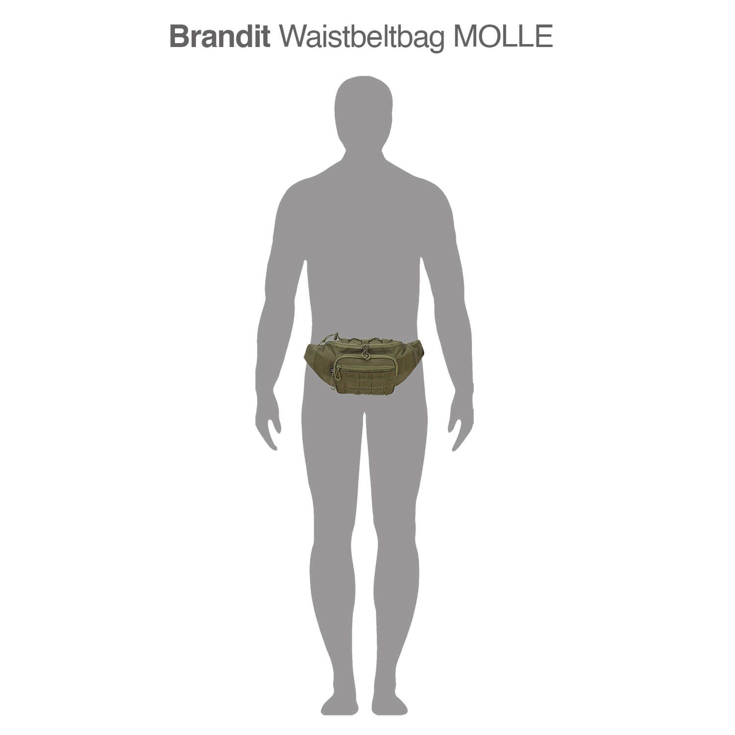 Waistbeltbag Molle