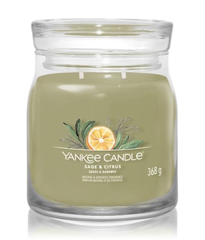 Yankee Candle Sage & Citrus Duftkerze-368 g