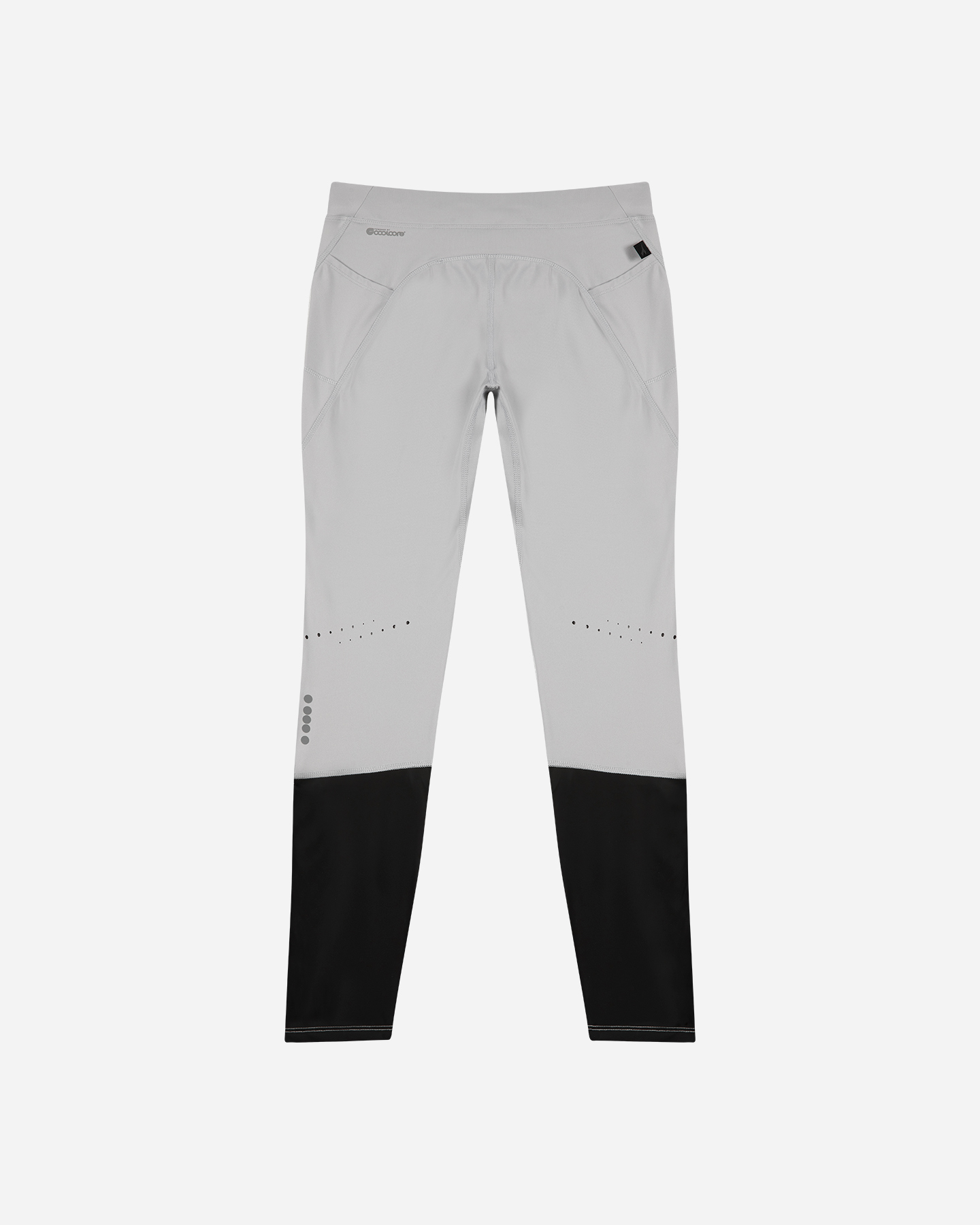 Leginsy do biegania Diadora Winter Protection W 102.180768-75128