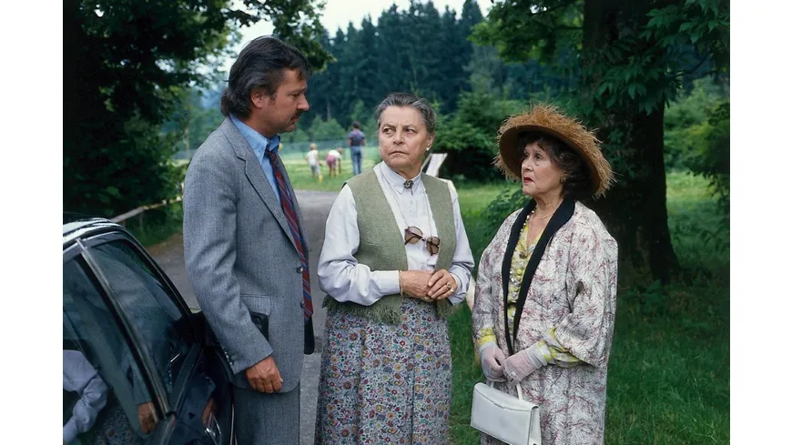 Waldhaus - Die komplette ZDF-Serie in 18 Teilen (Fernsehjuwelen)  [6 DVDs]