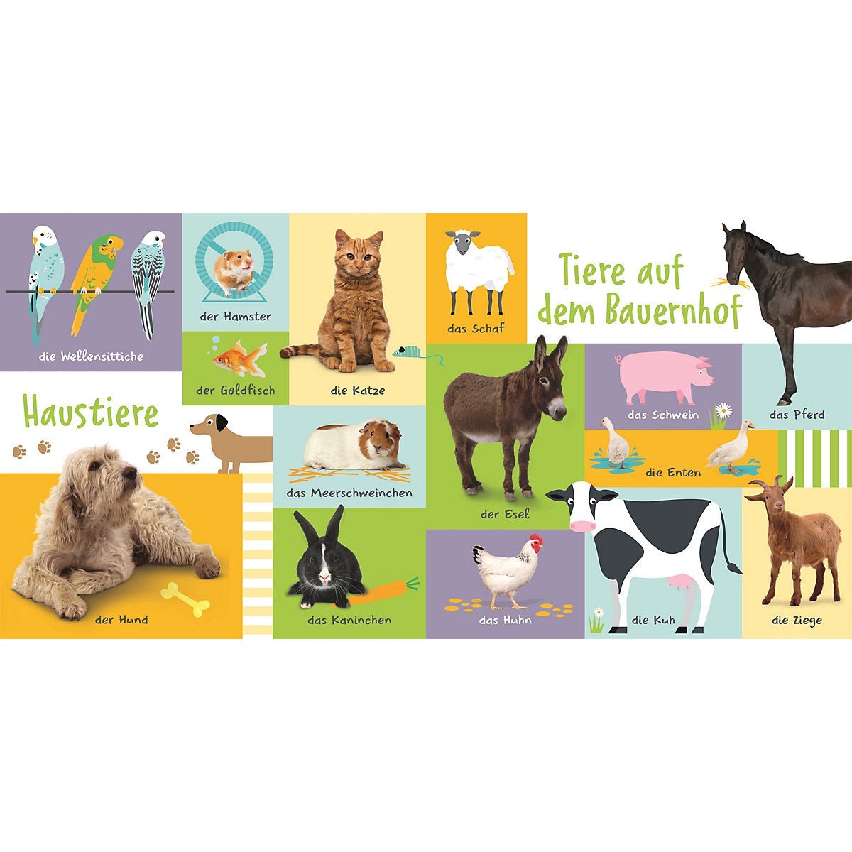 100 erste Tiere
