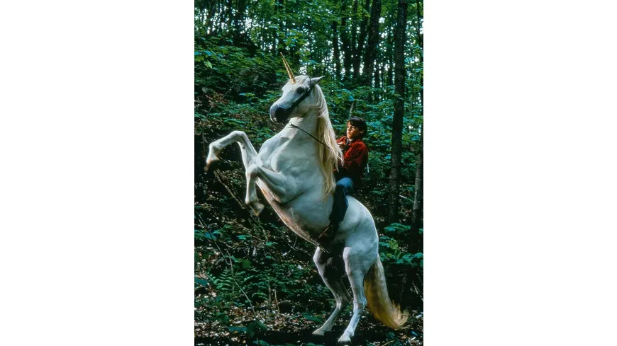 Nico, das Einhorn