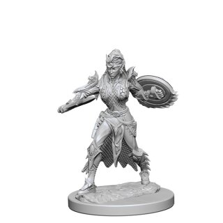 Elf Female Fighter: Pathfinder Deep Cuts Unpainted Minis