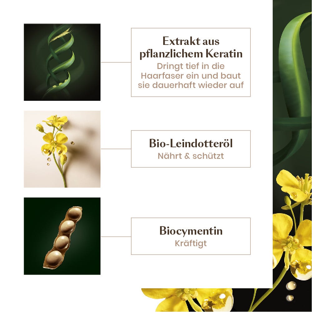 Rene Furterer Absolue Kératine Shampoo 600 ml Sondergröße