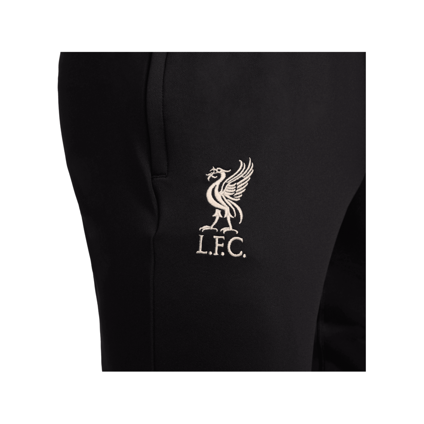 Nike FC Liverpool Trainingshose Schwarz F010