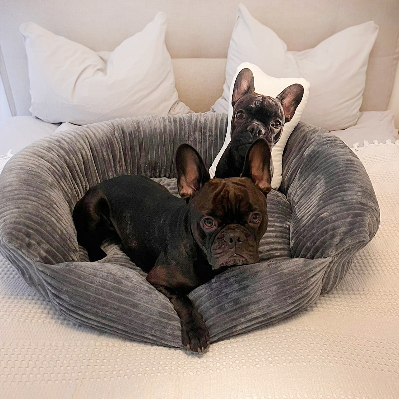 Wallace & Jones Hundebetten Wallace & Jones Hundebett Cordo dunkelgrau S