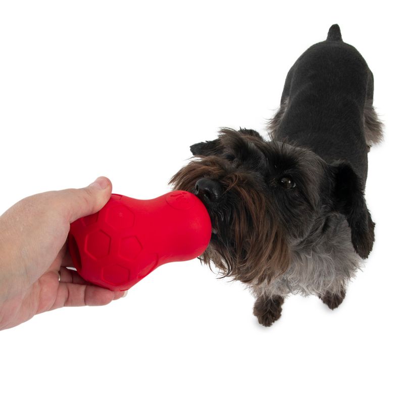 JW Tumble Teez Treat Toy zu TOP-Preisen