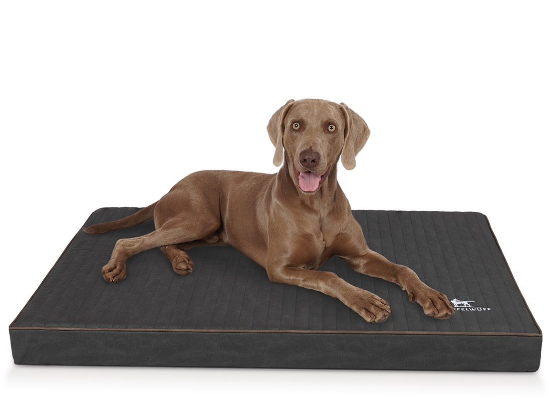 Knuffelwuff Hundematten Knuffelwuff orthopädische Hundematte Palomino aus laser-gestepptem Kunstleder schwarz XL
