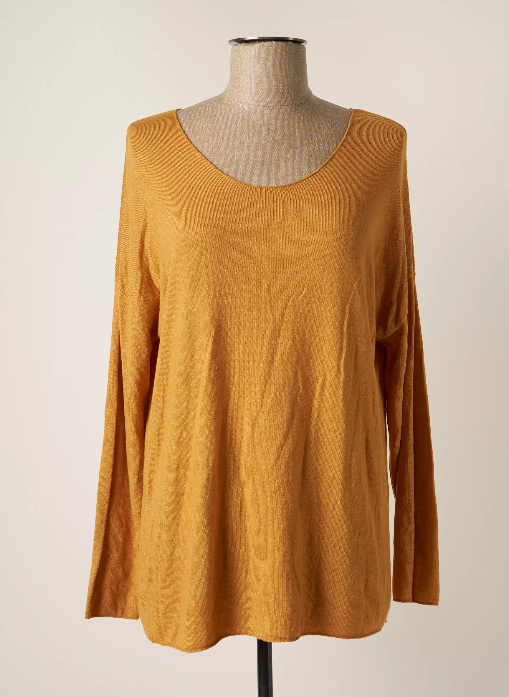 Andromede Pulls Femme couleur marron