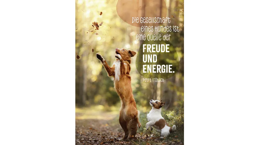 Hunde sind die besten Freunde