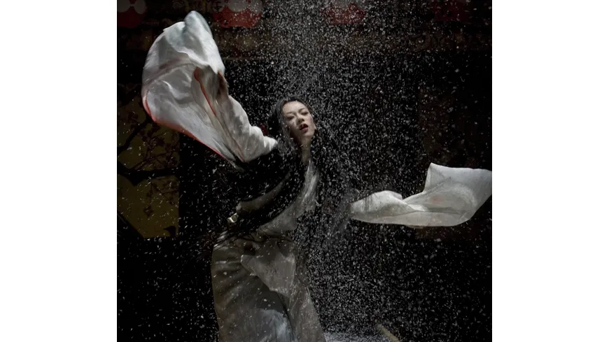 Die Geisha