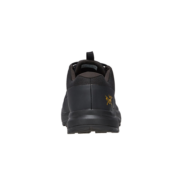 AERIOS FL 2 GTX W Damen - Wanderschuhe