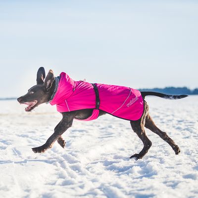 Rukka® Warmup Hundemantel, pink