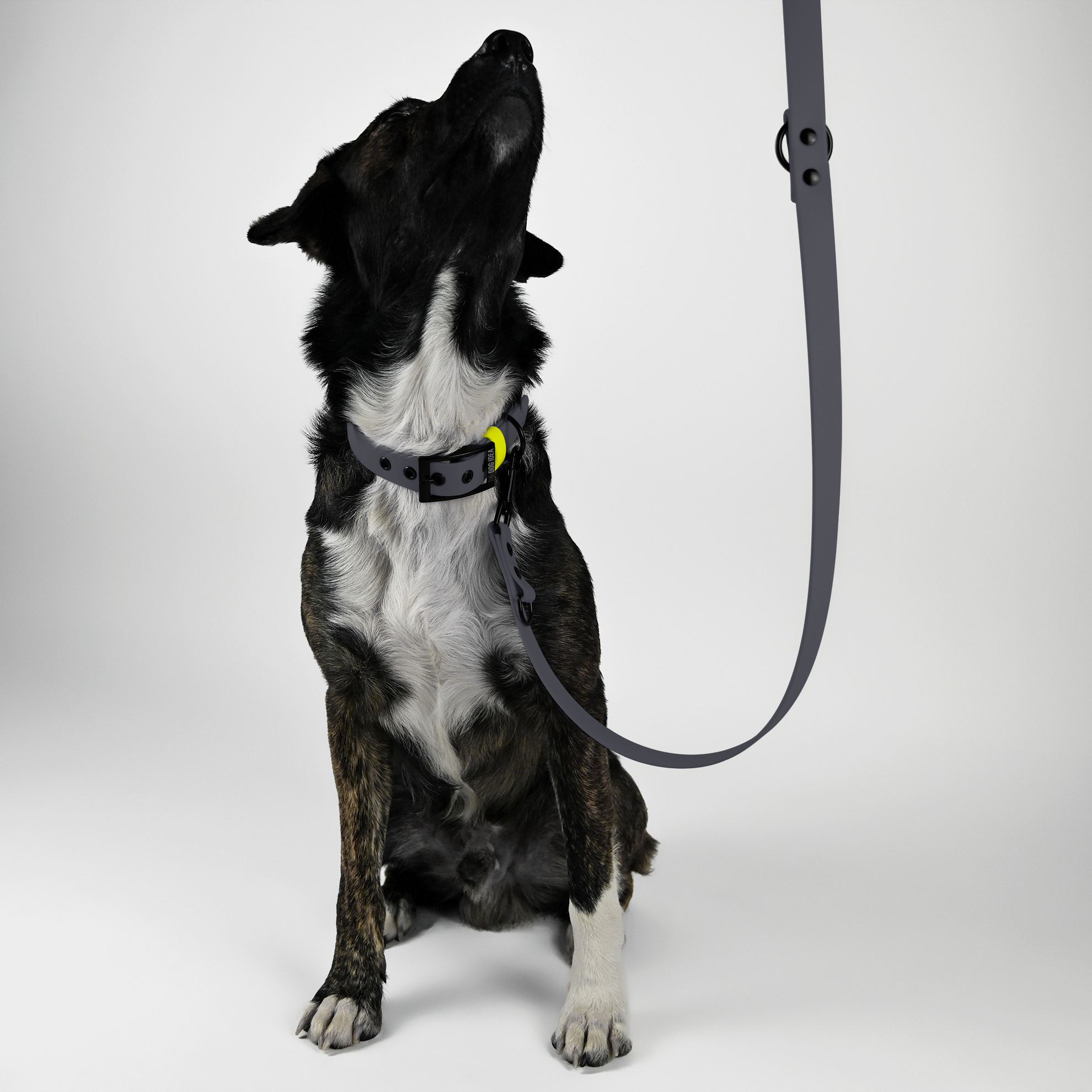 THE DOG IDEA Hundeleinen THE DOG IDEA Biothane Hundeleine Grau schwarz