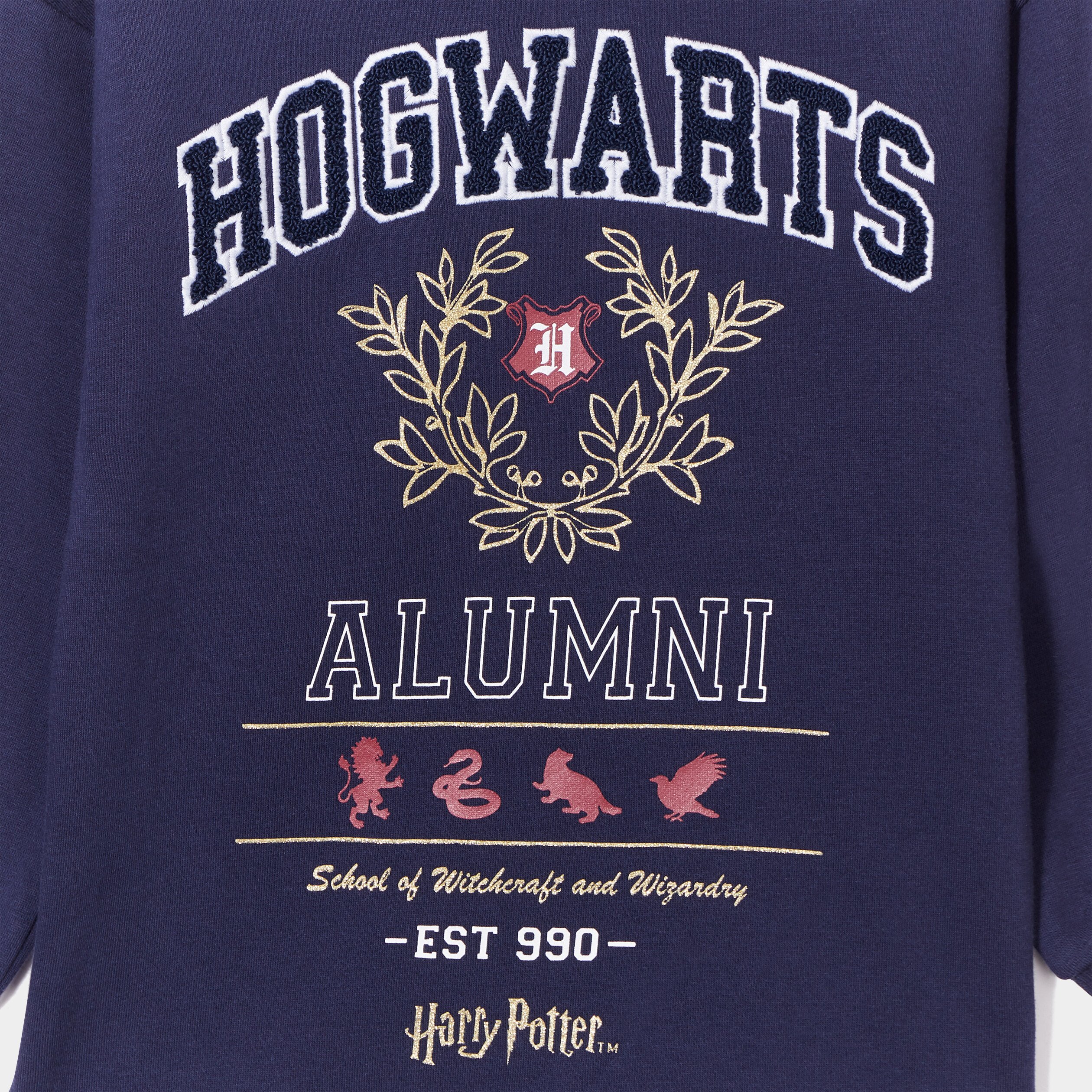 Sweat à capuche hoodie Harry Potter bleu marine fille | La Halle