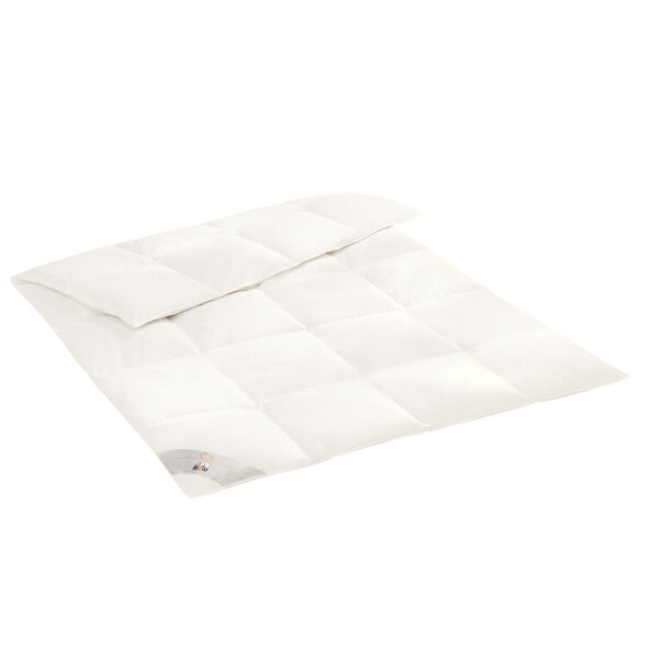 Feder- und Daunendecke Winter Starter, 200 x 220 cm
