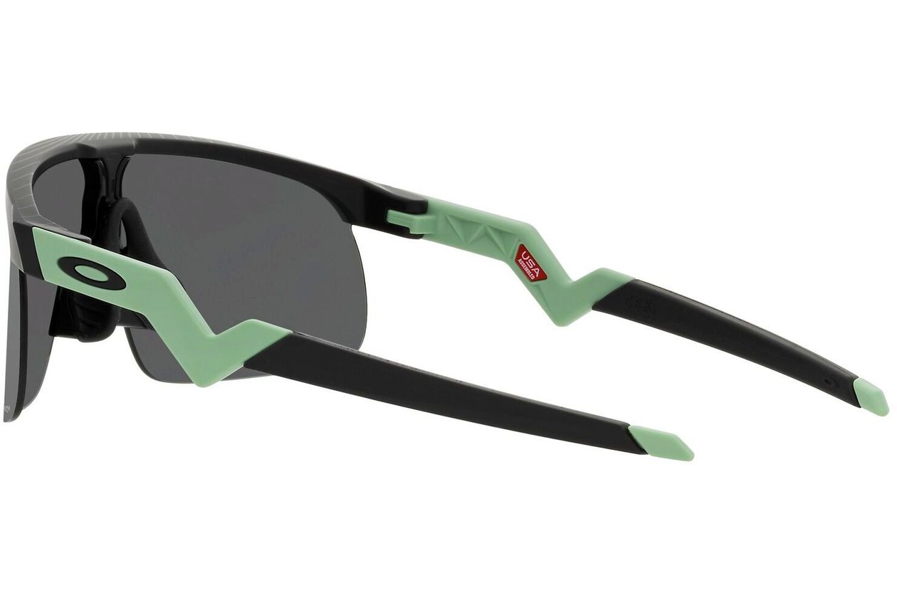 Oakley Resistor Matte Black/Prizm Black