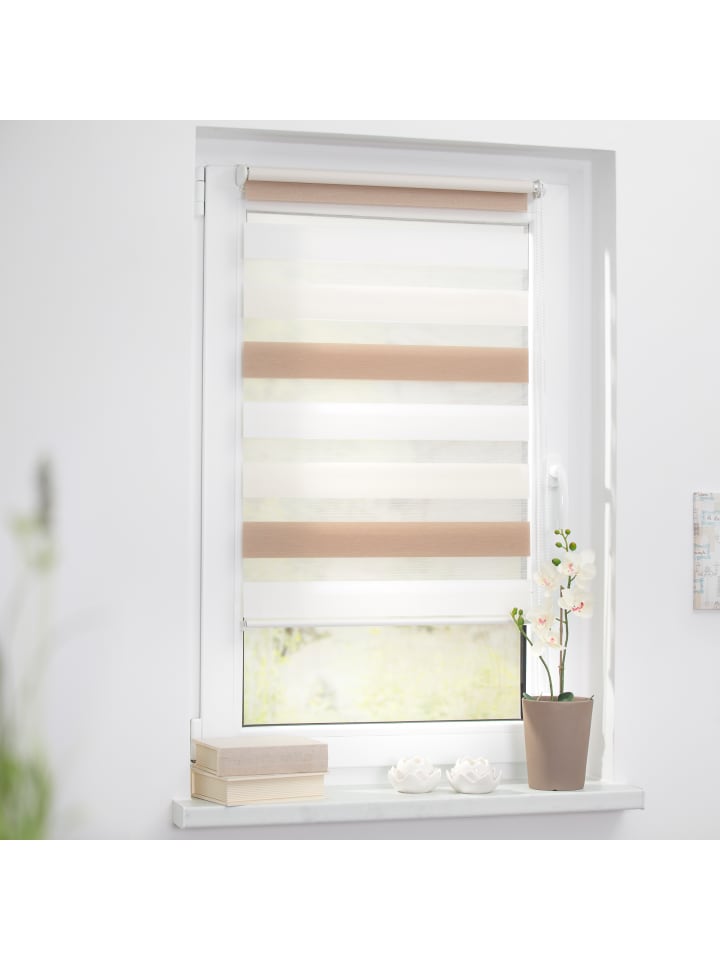 Lichtblick Doppelrollo in Creme - Weiß - Braun günstig kaufen
