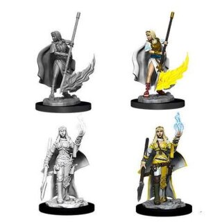 Female Human Oracle (Magic User): Pathfinder Battles Deep Cuts Unpainted Miniatures