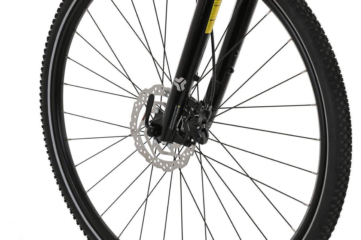 Carver Cinos 120 - 2024 - 28 Zoll - Damen Sport