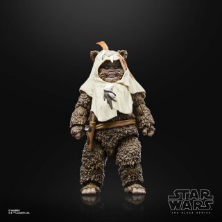 Star Wars Episode VI 40th Anniversary Black Series Actionfigur: Paploo